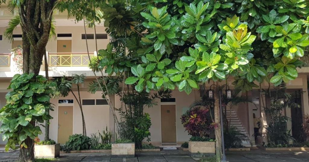 Hotel Sulawesi Jembel Esterno foto